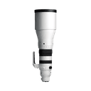 Sigma 300-600mm F4 DG OS Sports