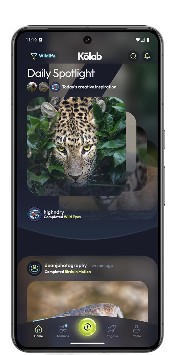 The Kōlab Android app showing Daily Spotlight